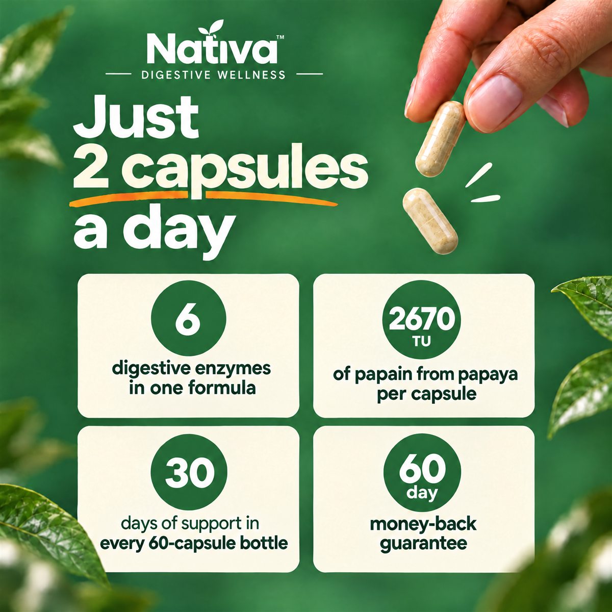 Just 2 capsules a day: 6 digestive enzymes, 2670 TU papain per capsule, 30 days per bottle, 60-day guarantee