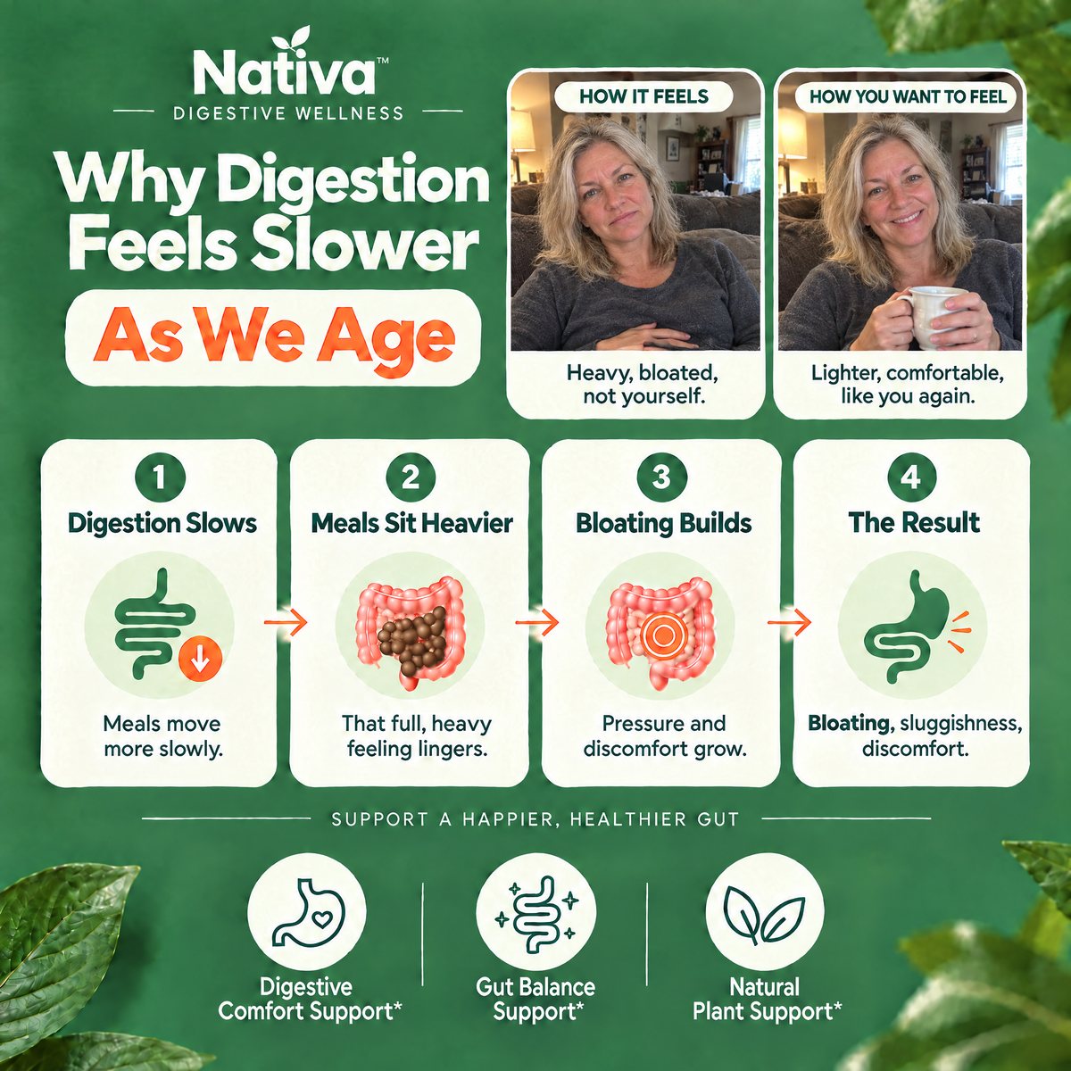 Why digestion feels slower as we age, in four steps